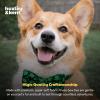 image:imageHuxley amp Kent Bow Tie for Pets  Suds Large  St Patricks Day Bow Tie Collar Attachment  Fun Bow Ties for Dogs amp Cats  Cute Comfortable and Durable  HampK Bow TieLucky Shamrock
