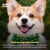 image:imageHuxley amp Kent Bow Tie for Pets  Suds Large  St Patricks Day Bow Tie Collar Attachment  Fun Bow Ties for Dogs amp Cats  Cute Comfortable and Durable  HampK Bow TieIrish Suds