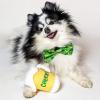 image:imageHuxley amp Kent Cat amp Dog Bow Tie  Pet Bow Tie wAdjustable Hook amp Loop Closure  Puppy amp Kitten Designer Dog Collar Accessory for Birthdays St Patricks Day or Christmas Irish PlaidSmallLucky Charm