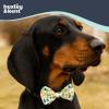 image:imageHuxley amp Kent Cat amp Dog Bow Tie  Pet Bow Tie wAdjustable Hook amp Loop Closure  Puppy amp Kitten Designer Dog Collar Accessory for Birthdays St Patricks Day or Christmas Irish PlaidSmallHappy St Pats