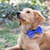 image:imageHuxley amp Kent Pet Bow Tie for Dogs amp Cats  Hanukkah Adjustable Hook amp Loop Collar Accessory  Cute amp Comfortable for Holidays amp Celebrations  Hanukkah Stars amp Dots LargeHanukkah Stars  Dots