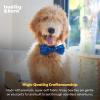 image:imageHuxley amp Kent Pet Bow Tie for Dogs amp Cats  Hanukkah Adjustable Hook amp Loop Collar Accessory  Cute amp Comfortable for Holidays amp Celebrations  Hanukkah Stars amp Dots LargeHanukkah