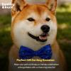image:imageHuxley amp Kent Pet Bow Tie for Dogs amp Cats  Hanukkah Adjustable Hook amp Loop Collar Accessory  Cute amp Comfortable for Holidays amp Celebrations  Hanukkah Stars amp Dots LargeHanukkah