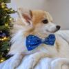 image:imageHuxley amp Kent Pet Bow Tie for Dogs amp Cats  Hanukkah Adjustable Hook amp Loop Collar Accessory  Cute amp Comfortable for Holidays amp Celebrations  Hanukkah Stars amp Dots LargeHanukkah