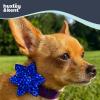 image:imageHuxley amp Kent Pet Pinwheel Bow for Dogs amp Cats  Holiday Adjustable Hook amp Loop Collar Accessory  Cute amp Comfortable for Holidays amp Celebrations  Hanukkah Stars amp Dots LargeHanukkah Stars  Dots