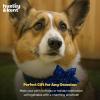 image:imageHuxley amp Kent Pet Pinwheel Bow for Dogs amp Cats  Holiday Adjustable Hook amp Loop Collar Accessory  Cute amp Comfortable for Holidays amp Celebrations  Hanukkah Stars amp Dots LargeHanukkah Stars  Dots