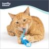 image:imageHuxley amp Kent Chirpy Plush Cat Toy  Holiday Interactive Catnip Toy with Touch Activated Sounds  Soft with Crinkle amp Catnip  Fun Indoor Play  Holiday Bird ChirpyBluebird