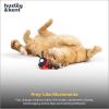 image:imageHuxley amp Kent Chirpy Plush Cat Toy  Holiday Interactive Catnip Toy with Touch Activated Sounds  Soft with Crinkle amp Catnip  Fun Indoor Play  Holiday Bird ChirpyLadybug