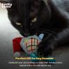 image:imageHuxley amp Kent Chirpy Plush Cat Toy  Holiday Interactive Catnip Toy with Touch Activated Sounds  Soft with Crinkle amp Catnip  Fun Indoor Play  Holiday Bird ChirpyHoliday Bird