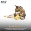 image:imageHuxley amp Kent Chirpy Plush Cat Toy  Holiday Interactive Catnip Toy with Touch Activated Sounds  Soft with Crinkle amp Catnip  Fun Indoor Play  Holiday Bird ChirpyBumble Bee