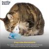 image:imageHuxley amp Kent Chirpy Plush Cat Toy  Holiday Interactive Catnip Toy with Touch Activated Sounds  Soft with Crinkle amp Catnip  Fun Indoor Play  Holiday Bird ChirpyBluebird