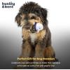 image:imageHuxley amp Kent Funny Dog Toy wSqueaker  Holiday Power Plush Squeaky Dog Toys for Small Dogs  Durable Small Stuffed Animal for Indoor Play amp Fetch  Tiny Tuff Santas MilkBoo Buddies