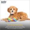 image:imageHuxley amp Kent Funny Dog Toy wSqueaker  Holiday Power Plush Squeaky Dog Toys for Small Dogs  Durable Small Stuffed Animal for Indoor Play amp Fetch  Tiny Tuff Santas MilkEquality Bone