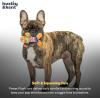 image:imageHuxley amp Kent Funny Dog Toy wSqueaker  Holiday Power Plush Squeaky Dog Toys for Small Dogs  Durable Small Stuffed Animal for Indoor Play amp Fetch  Tiny Tuff Santas MilkUgly Sweater Party