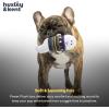 image:imageHuxley amp Kent Funny Dog Toy wSqueaker  Holiday Power Plush Squeaky Dog Toys for Small Dogs  Durable Small Stuffed Animal for Indoor Play amp Fetch  Tiny Tuff Santas MilkBoo Buddies