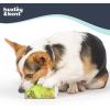 image:imageHuxley amp Kent Funny Dog Toy wSqueaker  Holiday Power Plush Squeaky Dog Toys for Small Dogs  Durable Small Stuffed Animal for Indoor Play amp Fetch  Tiny Tuff Latte My WayPuggles Can