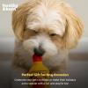 image:imageHuxley amp Kent Funny Dog Toy wSqueaker  Holiday Power Plush Squeaky Dog Toys for Small Dogs  Durable Small Stuffed Animal for Indoor Play amp Fetch  Tiny Tuff Santas MilkHairball Cinnamon Whisky