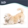 image:imageHuxley amp Kent Funny Dog Toy wSqueaker  Holiday Power Plush Squeaky Dog Toys for Small Dogs  Durable Small Stuffed Animal for Indoor Play amp Fetch  Tiny Tuff Latte My WayTotoS Pawdka