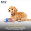 image:imageHuxley amp Kent Funny Dog Toy wSqueaker  Holiday Power Plush Squeaky Dog Toys for Small Dogs  Durable Small Stuffed Animal for Indoor Play amp Fetch  Tiny Tuff Latte My WayLil Firecracker Bone