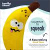 image:imageHuxley amp Kent Funny Dog Toy wSqueaker  Holiday Power Plush Squeaky Dog Toys for Small Dogs  Durable Small Stuffed Animal for Indoor Play amp Fetch  Tiny Tuff Latte My WayBruiser Banana