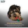 image:imageHuxley amp Kent Funny Dog Toy wSqueaker  Holiday Power Plush Squeaky Dog Toys for Small Dogs  Durable Small Stuffed Animal for Indoor Play amp Fetch  Tiny Tuff Latte My WayUgly Sweater Party