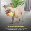 image:imageHuxley amp Kent Funny Dog Toy wSqueaker  Holiday Power Plush Squeaky Dog Toys for Small Dogs  Durable Small Stuffed Animal for Indoor Play amp Fetch  Tiny Tuff Santas MilkWitchs Harvest