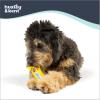 image:imageHuxley amp Kent Funny Dog Toy wSqueaker  Holiday Power Plush Squeaky Dog Toys for Small Dogs  Durable Small Stuffed Animal for Indoor Play amp Fetch  Tiny Tuff Santas MilkMutterfinger