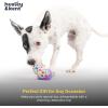 image:imageHuxley amp Kent Funny Dog Toy wSqueaker  Holiday Power Plush Squeaky Dog Toys for Small Dogs  Durable Small Stuffed Animal for Indoor Play amp Fetch  Tiny Tuff Latte My WayPolka Dot Party Hat