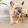 image:imageHuxley amp Kent Funny Dog Toy wSqueaker  Holiday Power Plush Squeaky Dog Toys for Small Dogs  Durable Small Stuffed Animal for Indoor Play amp Fetch  Tiny Tuff Santas MilkOut for Brunch