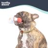 image:imageHuxley amp Kent Funny Dog Toy wSqueaker  Holiday Power Plush Squeaky Dog Toys for Small Dogs  Durable Small Stuffed Animal for Indoor Play amp Fetch  Tiny Tuff Santas MilkSantas Milk