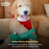image:imageHuxley amp Kent Funny Dog Toy wSqueaker  Holiday Power Plush Squeaky Dog Toys for Small Medium amp Large Dogs  Soft Stuffed Animal for Indoor Play amp Fetch  Naughty Nice Bone SmallNaughty Nice Bone