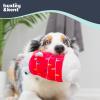 image:imageHuxley amp Kent Funny Dog Toy wSqueaker  Holiday Power Plush Squeaky Dog Toys for Small Medium amp Large Dogs  Soft Stuffed Animal for Indoor Play amp Fetch  Fireball Dragon SmallDeck the Bear