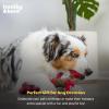 image:imageHuxley amp Kent Funny Dog Toy wSqueaker  Holiday Power Plush Squeaky Dog Toys for Small Medium amp Large Dogs  Soft Stuffed Animal for Indoor Play amp Fetch  Reindeer Bone One SizeReindeer Bone