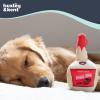 image:imageHuxley amp Kent Funny Dog Toy wSqueaker  Holiday Power Plush Squeaky Dog Toys for Small Medium amp Large Dogs  Soft Stuffed Animal for Indoor Play amp Fetch  Let It Snow Merlot LargeDogg Nog