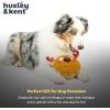 image:imageHuxley amp Kent Funny Dog Toy wSqueaker  Holiday Power Plush Squeaky Dog Toys for Small Medium amp Large Dogs  Soft Stuffed Animal for Indoor Play amp Fetch  Fireball Dragon SmallGotta Dash Reindeer Cookie