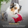 image:imageHuxley amp Kent Funny Dog Toy wSqueaker  Holiday Power Plush Squeaky Dog Toys for Small Medium amp Large Dogs  Soft Stuffed Animal for Indoor Play amp Fetch  Fireball Dragon SmallDeck the Bear