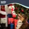 image:imageHuxley amp Kent Funny Dog Toy wSqueaker  Holiday Power Plush Squeaky Dog Toys for Small Medium amp Large Dogs  Soft Stuffed Animal for Indoor Play amp Fetch  Let It Snow Merlot LargeTotos Holiday Stress Reliever