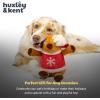 image:imageHuxley amp Kent Funny Dog Toy wSqueaker  Holiday Power Plush Squeaky Dog Toys for Small Medium amp Large Dogs  Soft Stuffed Animal for Indoor Play amp Fetch  Fireball Dragon SmallRocky Reindeer
