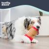 image:imageHuxley amp Kent Funny Dog Toy wSqueaker  Holiday Power Plush Squeaky Dog Toys for Small Medium amp Large Dogs  Soft Stuffed Animal for Indoor Play amp Fetch  Let It Snow Merlot LargeLatte My Way