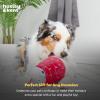 image:imageHuxley amp Kent Funny Dog Toy wSqueaker  Holiday Power Plush Squeaky Dog Toys for Small Medium amp Large Dogs  Soft Stuffed Animal for Indoor Play amp Fetch  Fireball Dragon SmallDeck the Bear