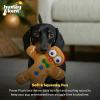image:imageHuxley amp Kent Funny Dog Toy wSqueaker  Holiday Power Plush Squeaky Dog Toys for Small Medium amp Large Dogs  Soft Stuffed Animal for Indoor Play amp Fetch  Fireball Dragon SmallGinger Snapped