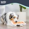 image:imageHuxley amp Kent Funny Dog Toy wSqueaker  Holiday Power Plush Squeaky Dog Toys for Small Medium amp Large Dogs  Soft Stuffed Animal for Indoor Play amp Fetch  Naughty Nice Bone SmallCookie Tester Bone