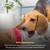 image:imageHuxley amp Kent Funny Dog Toy wSqueaker  Holiday Power Plush Squeaky Dog Toys for Small Medium amp Large Dogs  Soft Stuffed Animal for Indoor Play amp Fetch  Let It Snow Merlot LargeLatte My Way