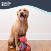 image:imageHuxley amp Kent Funny Dog Toy wSqueaker  Holiday Power Plush Squeaky Dog Toys for Small Medium amp Large Dogs  Soft Stuffed Animal for Indoor Play amp Fetch  Fireball Dragon SmallFireball Dragon