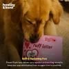 image:imageHuxley amp Kent Interactive Funny Dog Toy wSqueaker  Holiday Power Plush Treat Hiding Toy  Cute and Funny Soft Puzzle for Small amp Large Dogs  Seek n Treat Prickly amp Bright Pawt One SizeRuff Letter