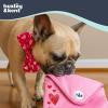 image:imageHuxley amp Kent Interactive Funny Dog Toy wSqueaker  Holiday Power Plush Treat Hiding Toy  Cute and Funny Soft Puzzle for Small amp Large Dogs  Seek n Treat Prickly amp Bright Pawt One SizeRuff Letter