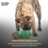image:imageHuxley amp Kent Interactive Funny Dog Toy wSqueaker  Holiday Power Plush Treat Hiding Toy  Cute and Funny Soft Puzzle for Small amp Large Dogs  Seek n Treat Prickly amp Bright Pawt One SizeChristmas Tree
