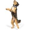 image:imageHuxley amp Kent Pet Bow Tie for Dogs amp Cats  Thanksgving Fall Adjustable Hook amp Loop Collar Accessory  Cute amp Comfortable for Holidays amp Celebrations  What Me Worry Turkey LargeI Only Have Pies for You