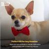 image:imageHuxley amp Kent Pet Bow Tie for Dogs amp Cats  Thanksgving Fall Adjustable Hook amp Loop Collar Accessory  Cute amp Comfortable for Holidays amp Celebrations  What Me Worry Turkey LargeMoose