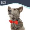 image:imageHuxley amp Kent Pet Bow Tie for Dogs amp Cats  Thanksgving Fall Adjustable Hook amp Loop Collar Accessory  Cute amp Comfortable for Holidays amp Celebrations  What Me Worry Turkey LargeMoose